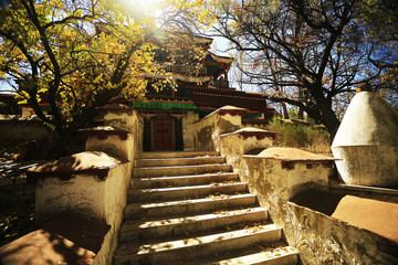 stupa in the ancient Tibetan monastery