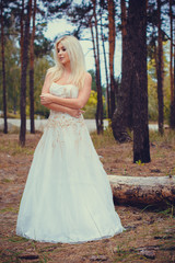 Obraz na płótnie Canvas Modern stylish bride at the evening forest. Bride at countryside next to old trees in a pine forest at autumn. Wedding in forest.