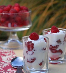 nachspeise mit himbeeren