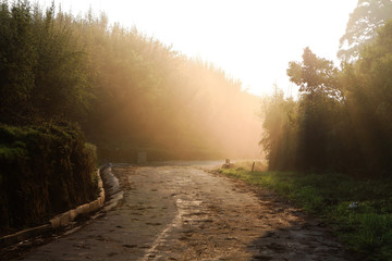Fototapeta premium Morning lights during sunrise