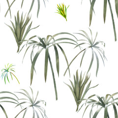 Watercolor illustration of leaf, seamless pattern on white background