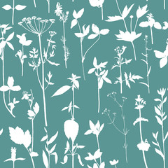 Seamless pattern with drawing herbs and flowers