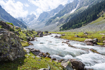 Beautiful greenery landscape at Sonamarg 