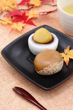 70 Best 秋の和菓子 Images Stock Photos Vectors Adobe Stock