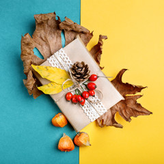 Autumn leaves, berries, hips and pine cones on a multi-colored background. An autumn background .