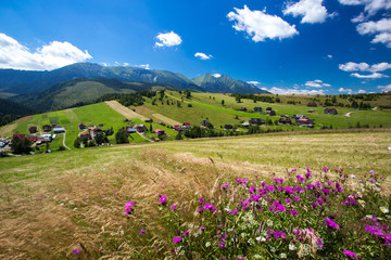 Fototapeta premium Bachledova valley in summer, eastern tratras Slovakia