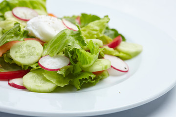 fresh salad