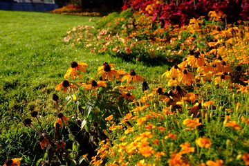 Jardin d'automne, Lyon, France
