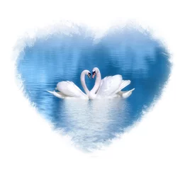 Photo sur Plexiglas Anti-reflet Cygne Couple de cygnes amoureux à l& 39 intérieur d& 39 une forme de coeur à l& 39 aquarelle