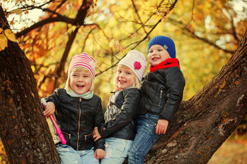 Little smiling kids sitting on the tree in autumn park.