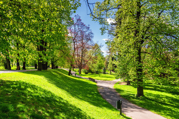 Fototapeta na wymiar Park in the spring with green lawn, sun light. Stone pathway in a green park
