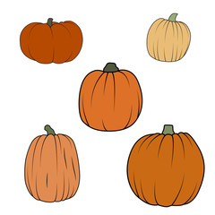 Pumpkin icons set in flat style