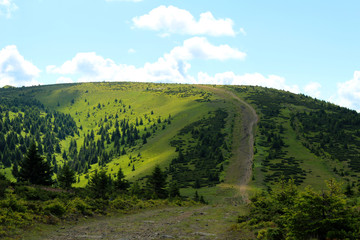 Obraz premium landscape