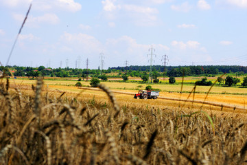 czech country