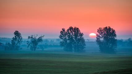 Fototapeta na wymiar Beautiful sunrise at foggy field and sun in summer