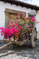 Fototapeta na wymiar Antigua Guatemala: flowers decorating a medieval wood cart on the colonial street of the popular tourist destination town