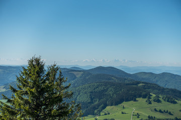 Fototapeta premium The black forest in germany with a view to the alps