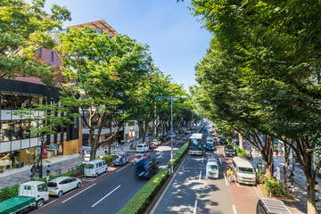 Obraz premium 東京 表参道