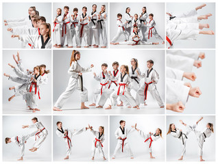 The studio shot of group of kids training karate martial arts © master1305