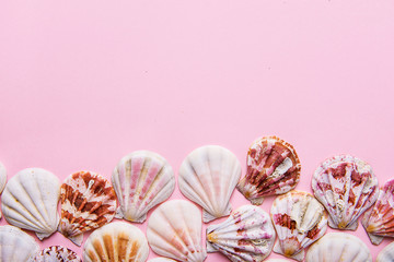 Flat white pink brown sea shells arranged in border frame on pink pastel background. Copy space. Template for card poster. Tropical vacation Party