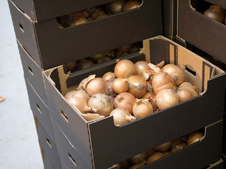 Skrzynki tekturowe z cebula na linii w hurtowni © JDziedzic