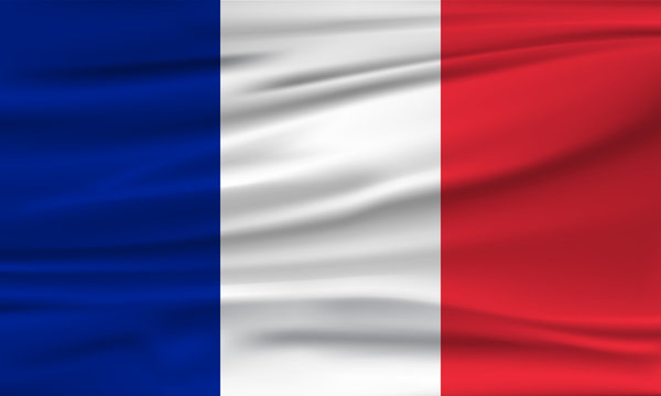 Vector flag of France. Vector illustration