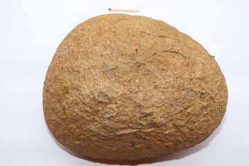 Big oval concretion from sedimentary rocks with a small cavity in the middle on a white background (back view) and a match for scale