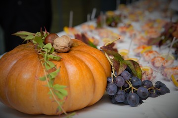 autumnal pumpkin