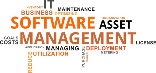 word cloud - software asset management