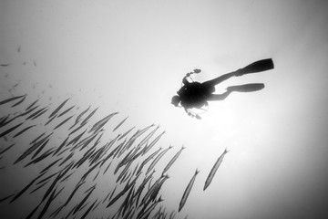 Black and white picture of scuba diver