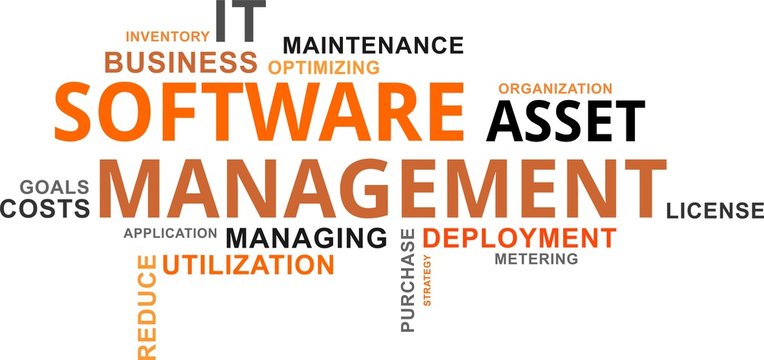 Word Cloud - Software Asset Management