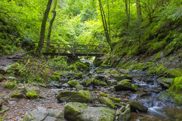Lotenbach Gorge in Blach Forest, Germany
