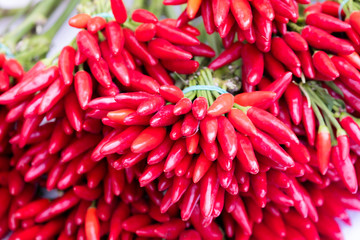 traditional spicy red magyar peppers