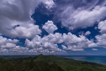 Fototapeta premium Nature scene of forest sea and the sky