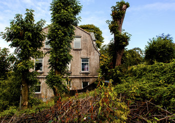 dilapidated house and garden