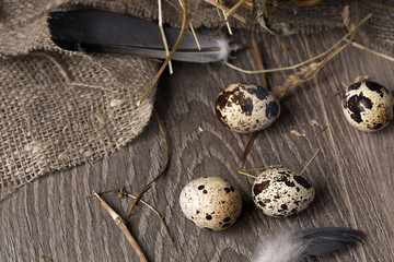 Obraz na płótnie Canvas Quail eggs in a nest on a rustic wooden background. Healthy food concept.