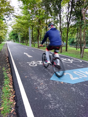 Obraz premium Bike lanes in the park