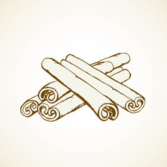 Cinnamon. Vector drawing