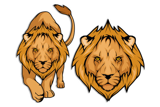  Lion set, isolated on white background, colour illustration, suitable as logo or team mascot