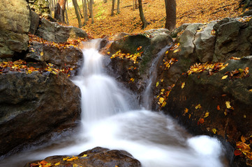 Autumn forest stream and waterfall / Roman Bath in Bakony Forest, Hungary