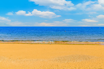 Beach Ocean