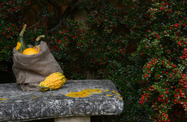Stone bench with jute sack full of ornamental gourds