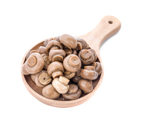 champignon mushrooms isolated on white.