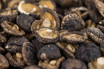 Dried Shiitake mushrooms close-up shot, selective focus