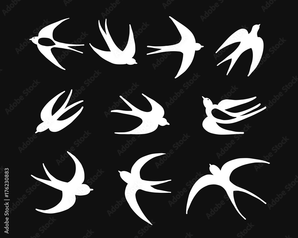 Aufkleber swallows, seamless pattern for your design