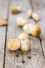 Fresh Porcinis (raw) on a vintage background (close-up shot)