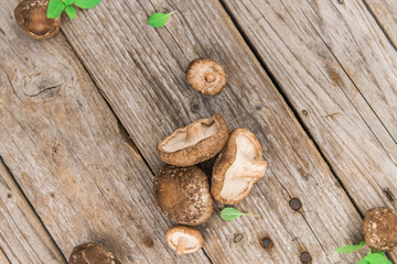 Obraz na płótnie Canvas Portion of Raw Shiitake mushrooms on wooden background, selective focus