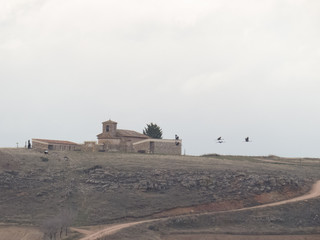 Crane migration in gallocanta spain