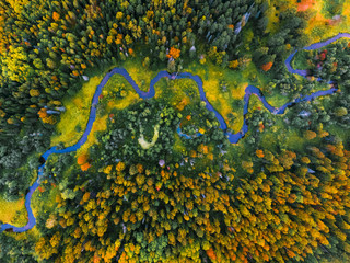 Aerial view of the autumn forest and small river