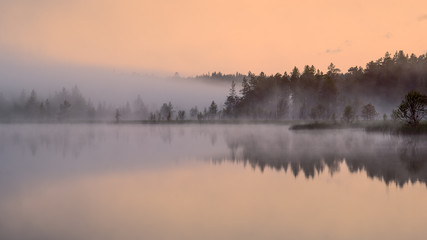 Misty lake and woods at dusk